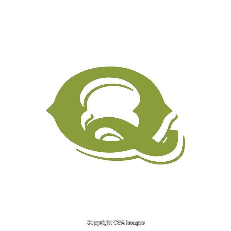 Artistic Green Letter Q Design With Minimalist and Modern Style