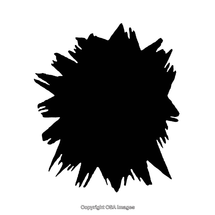 Abstract Black Ink Splash on White Background for Design