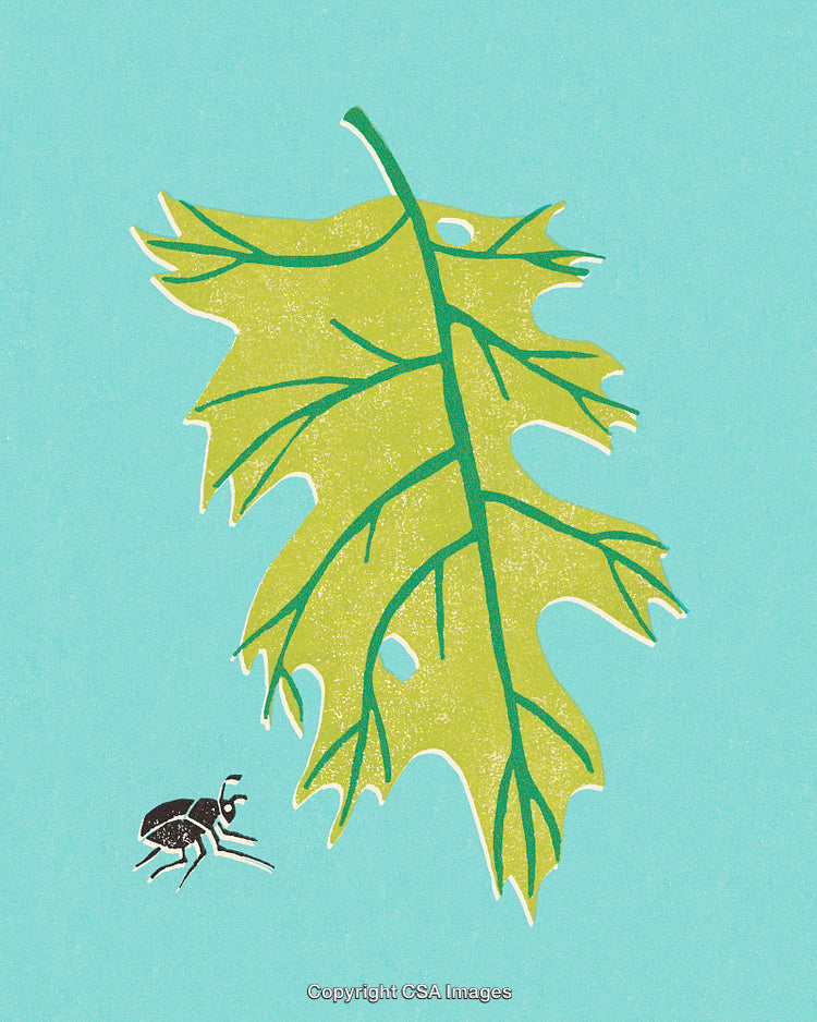 Stylized Illustration of a Leaf with an Insect on a Blue Background
