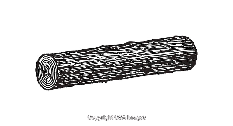 Detailed Black and White Line Art Illustration of a Wooden Log