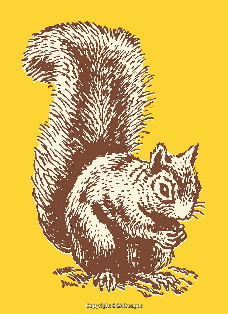 Intricate Line Art Illustration of a Squirrel on a Vibrant Yellow Background