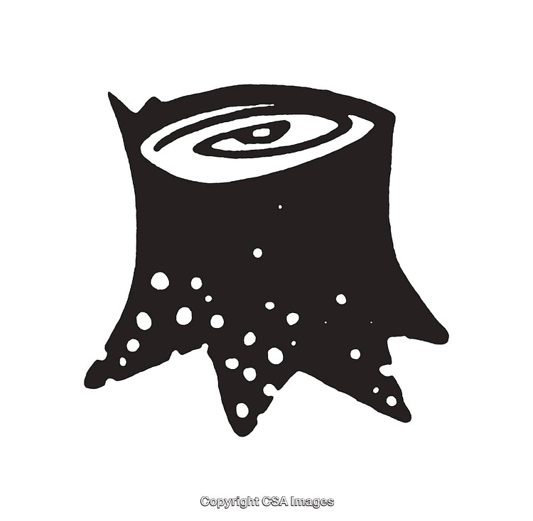 Monochrome Artistic Tree Stump Line Illustration for Design and Nature Concepts