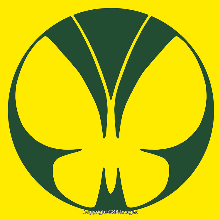 Stylized Green Butterfly Design on Yellow Background