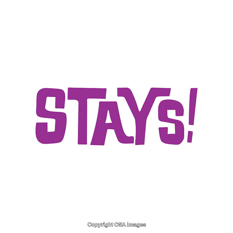 Bold Typography 'Stays!' Design in Vibrant Purple on White