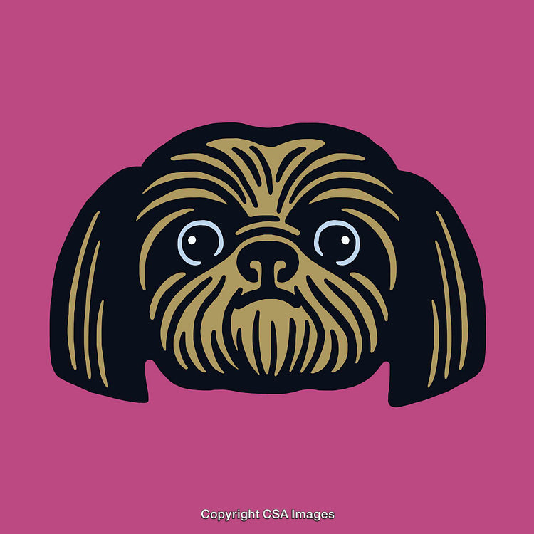 Stylized Line Art Illustration of a Shih Tzu Dog on Pink Background