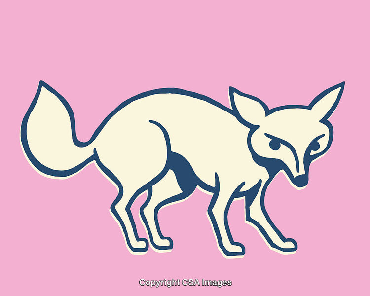 Stylized Fox Illustration in Pastel Pink Background