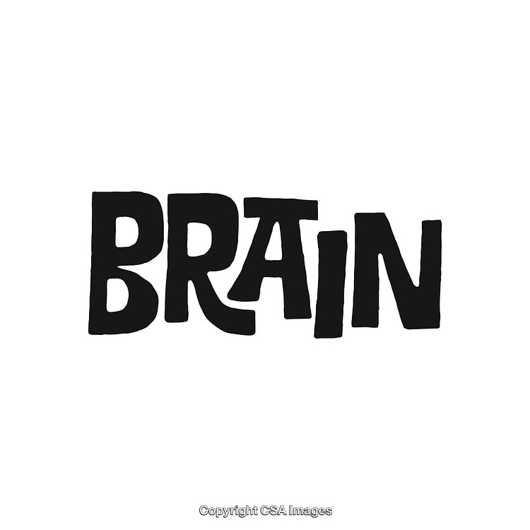 Hand-Drawn Black Text Reading Brain Isolated on White Background