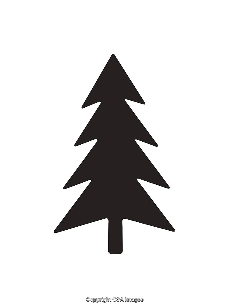 Black Silhouette of a Pine Tree Icon on a White Background