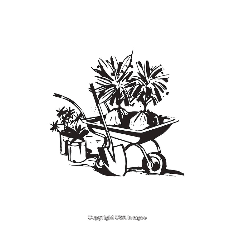 Illustration of Gardening Tools and Plants with a Wheelbarrow Scene