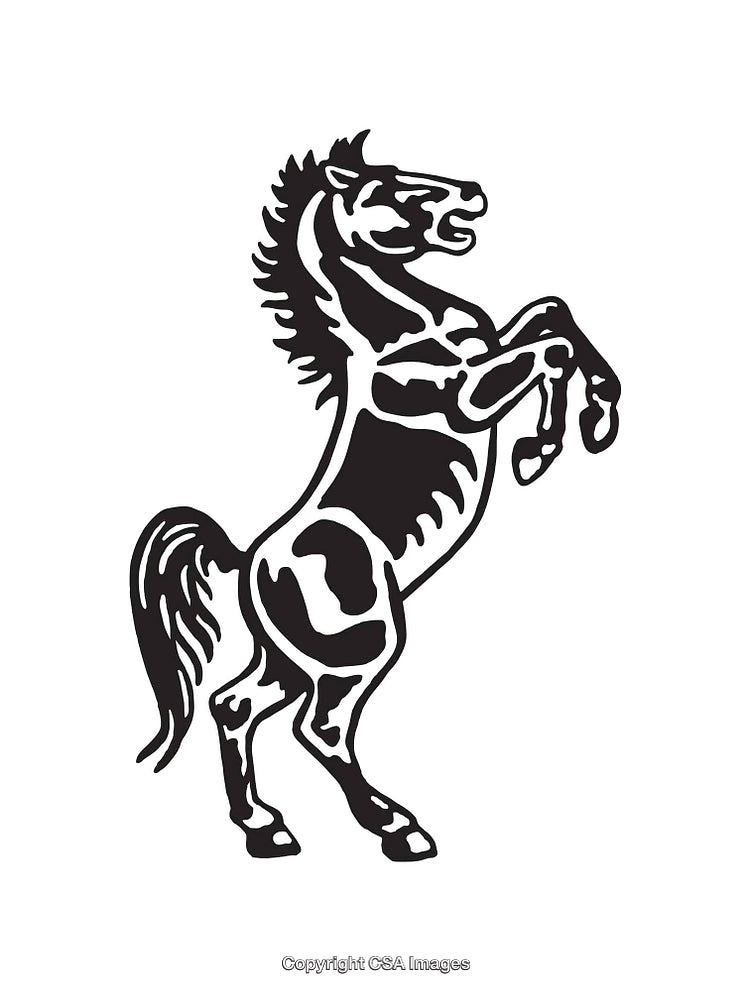 Black and White Line Art of a Rearing Horse Illustration