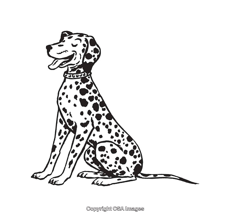 Black and White Line Art of a Sitting Dalmatian Dog