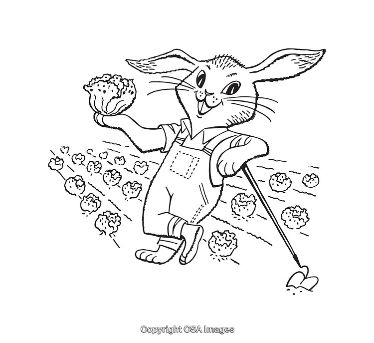 Cute Bunny Harvesting Vegetables in a Field Line Art Illustration
