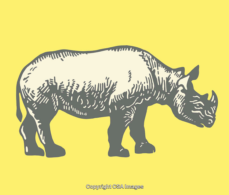 Colorful Line Art Illustration of a Rhinoceros on a Yellow Background