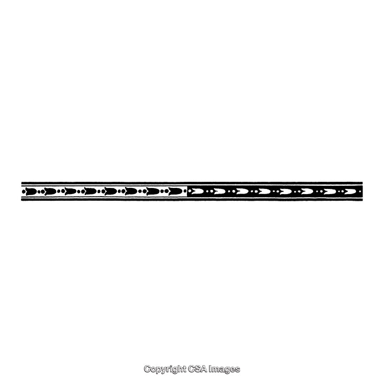 Elegant Black and White Minimalistic Decorative Border Design