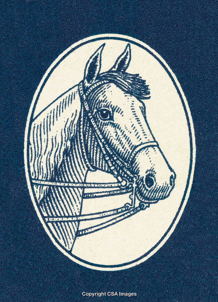 Detailed Vintage Illustration of a Horse's Head in an Oval Frame