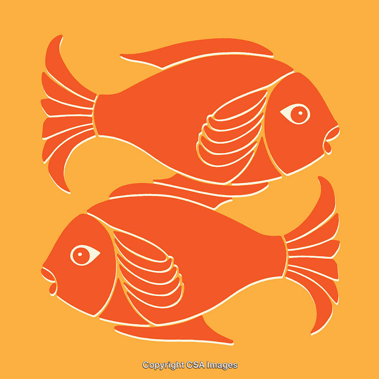 Orange and White Line Art Illustration of Two Stylized Fish in Motion