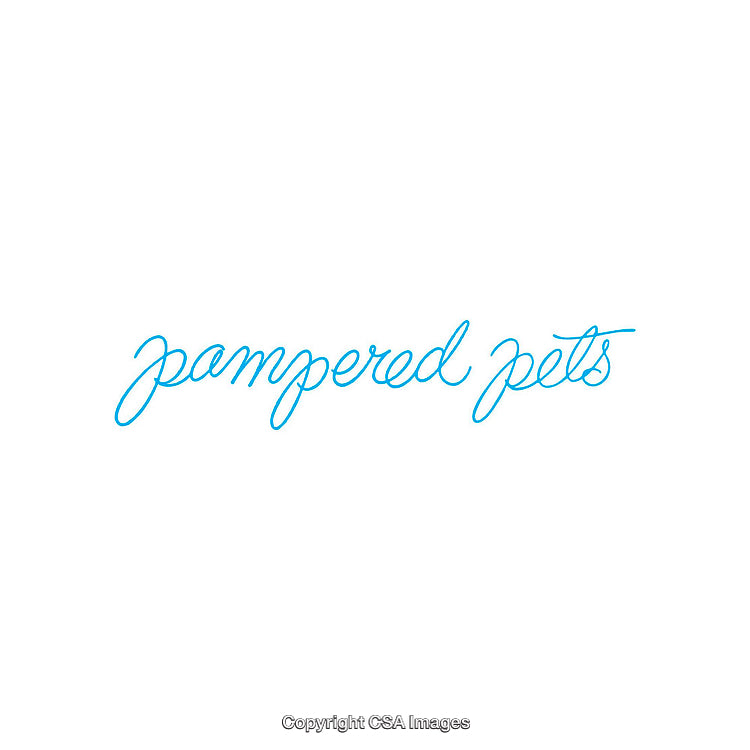 Minimalist Blue Script Text Featuring 'Pampered Pets' in Soft Font