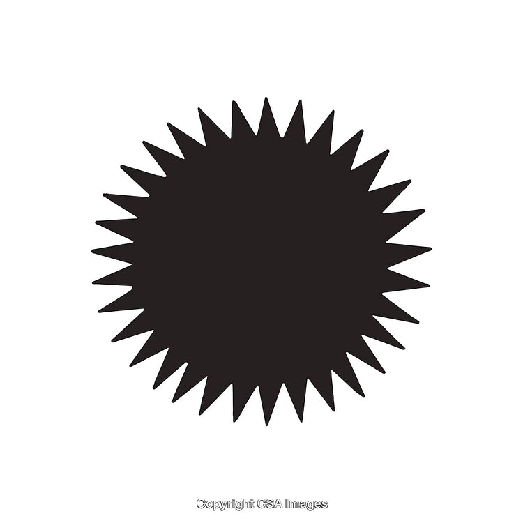Black Starburst Dingbat Symbol on a White Background