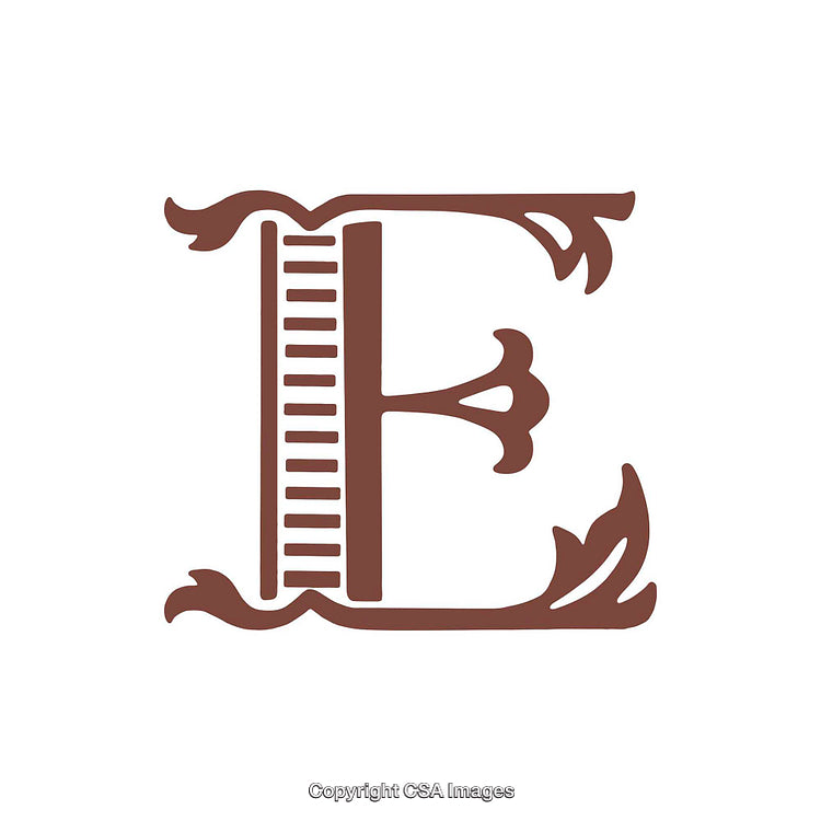 Ornate Decorative Letter E with Elegant Flourishes in Brown Tone