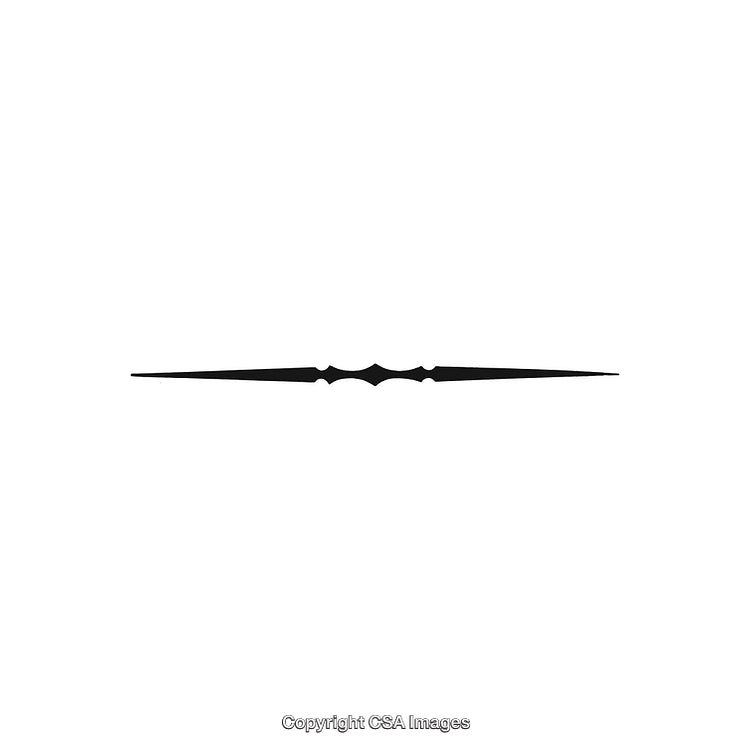 Elegant Thin Black Decorative Divider Line on White Background