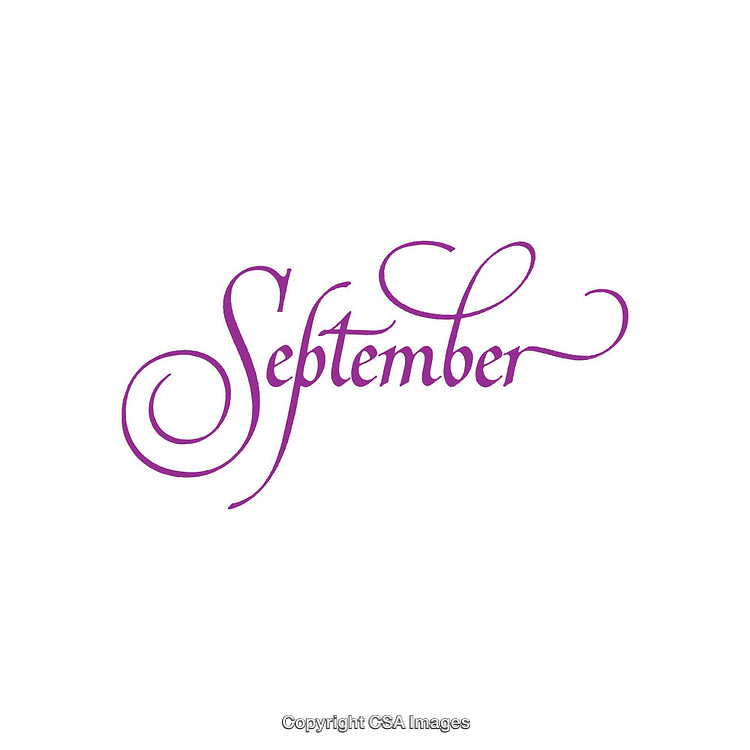 Elegant Purple September Calligraphy on Minimal White Background