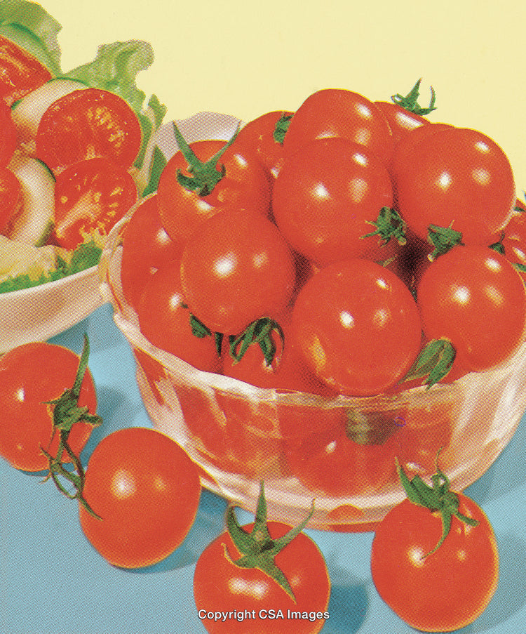 Fresh Bowl of Tomatoes with Vibrant Salad on Colorful Background