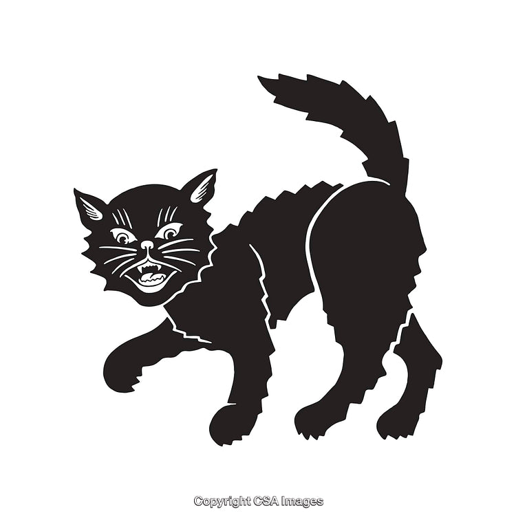 Black and White Line Art of an Aggressive Hissing Cat