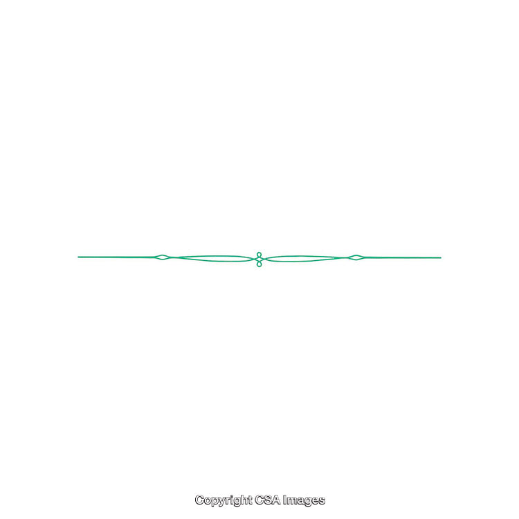 Green Decorative Line Border with Elegant Swirls on White Background