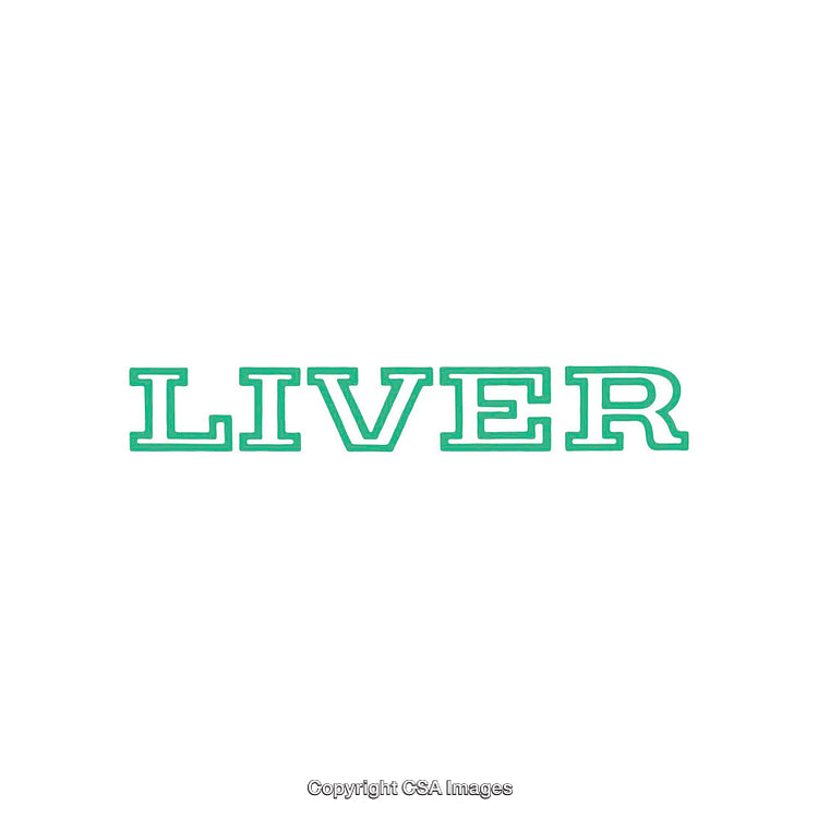 Bold Green Liver Sign in Vintage Block Lettering