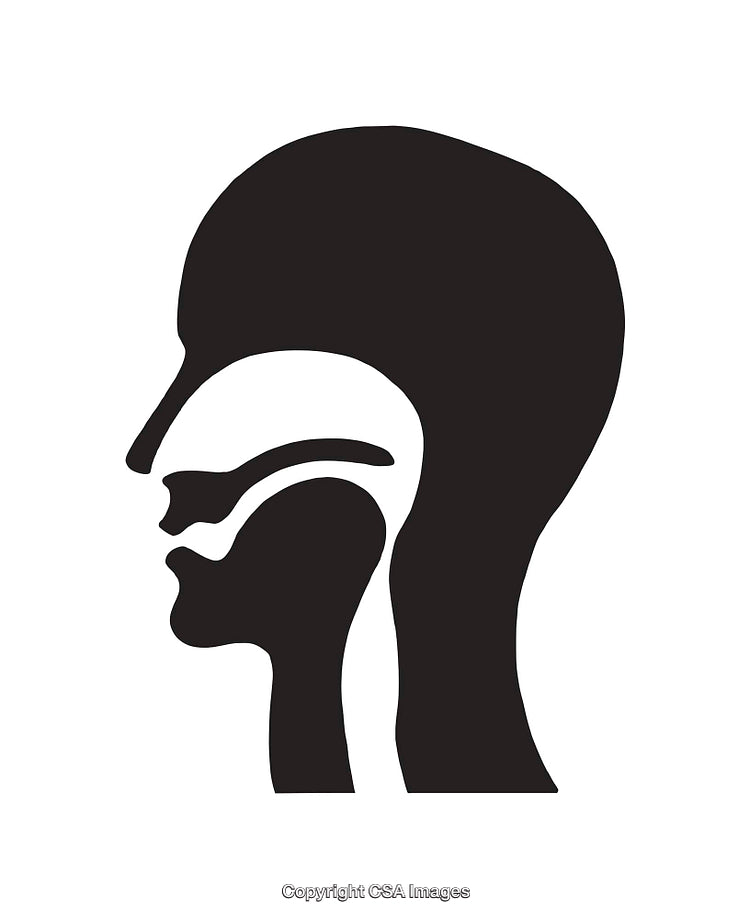Black and White Human Head Sideview Anatomy Icon Illustration