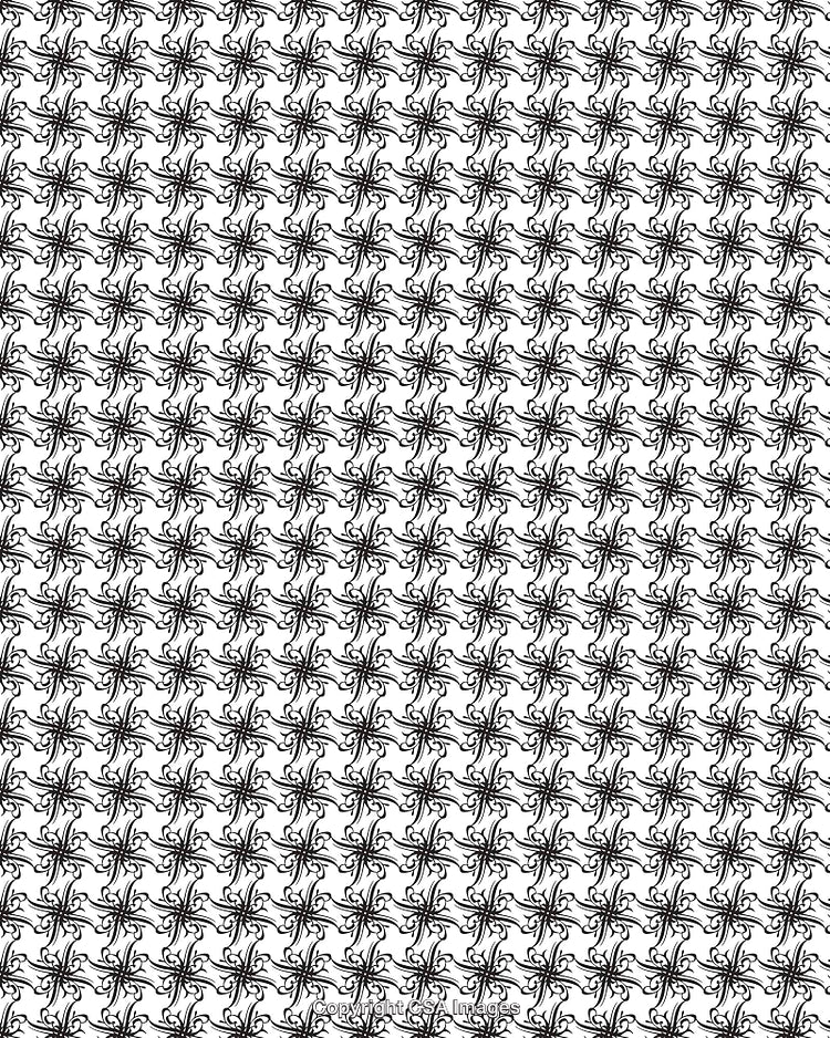 Black and White Seamless Pattern with Elegant Floral Design