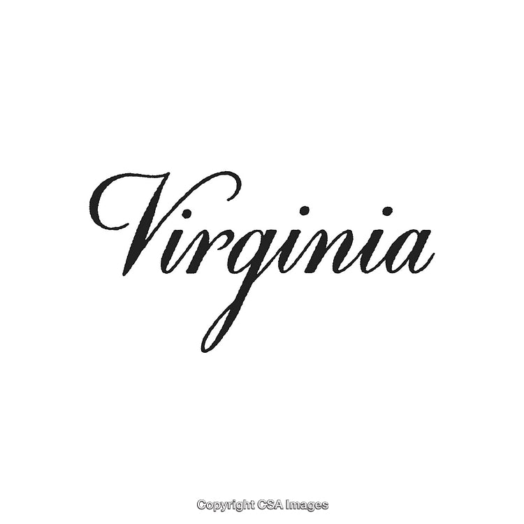 Elegant Virginia Wordmark in Script Font on a White Background