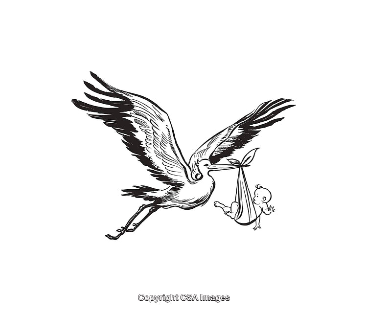 Black and White Illustration of a Stork Carrying Baby in a Bundle