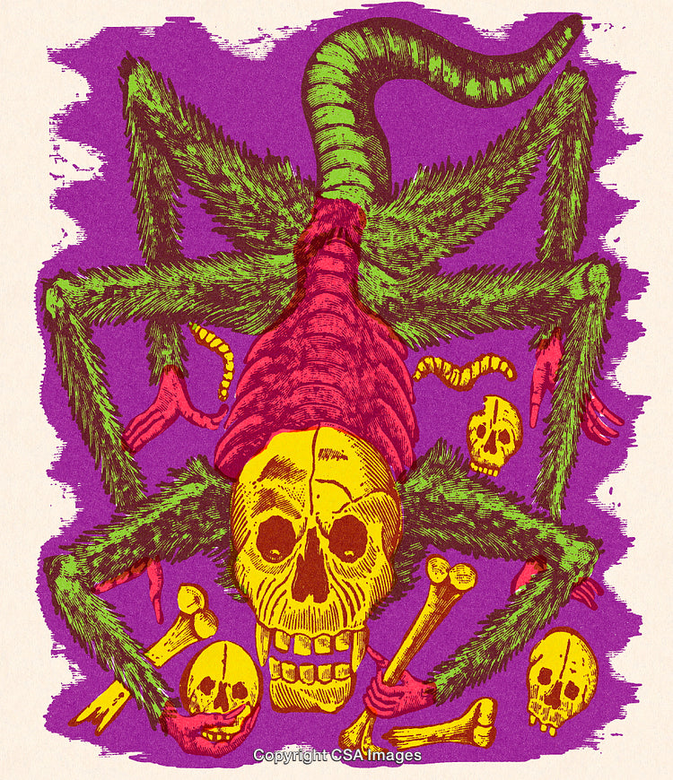 Colorful Surreal Artwork of a Skull and Spider Hybrid Illustration