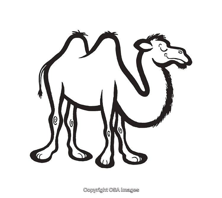 Black And White Line Art Illustration of a Smiling Camel