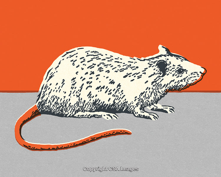 Detailed Illustration of a Mouse Against a Bright Orange Background