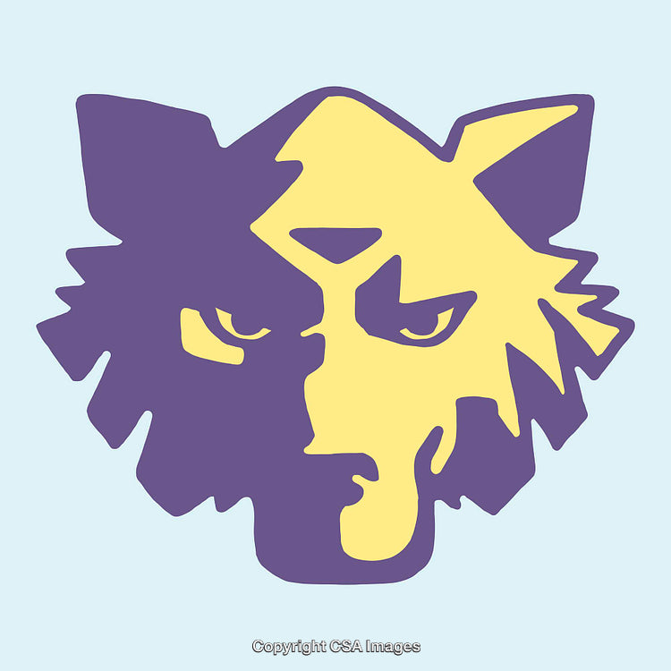 Stylized Illustration of a Wolf's Face with Contrasting Colors