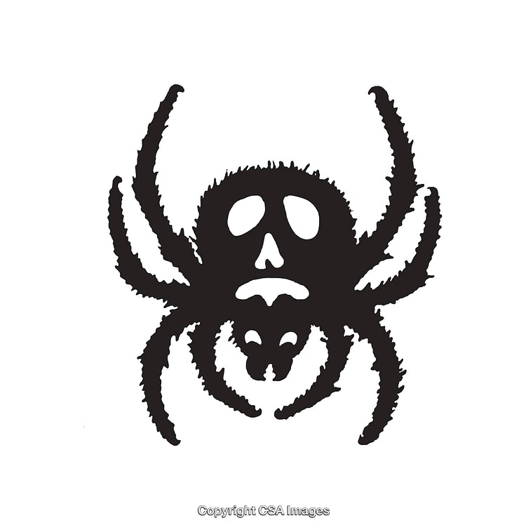 Black And White Spider Illustration with Skull-Inspired Markings