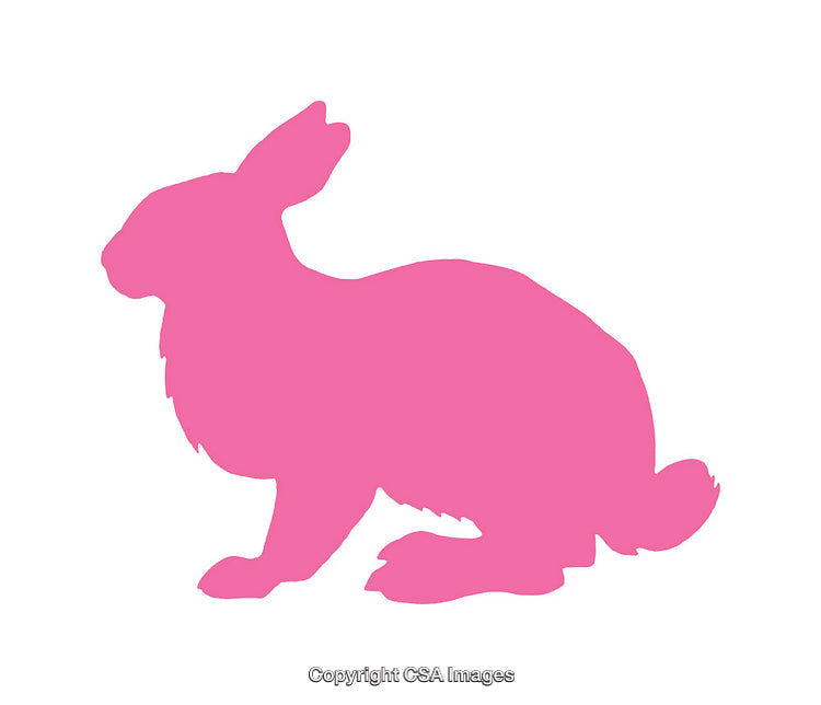 Pink Silhouette of a Rabbit Facing Left With White Background