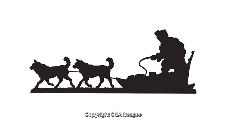 Silhouette of a Dog Sled Team and Driver in Motion