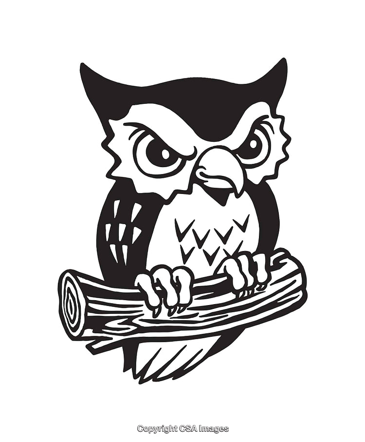 Black and White Line Art Illustration of an Owl Holding a Branch