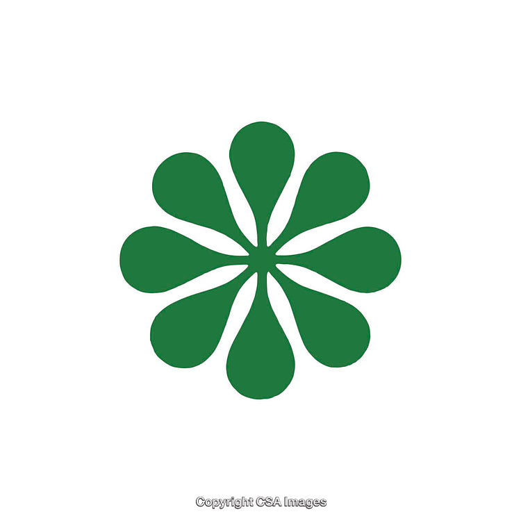 Green Petal-Shaped Dingbat Design on White Background