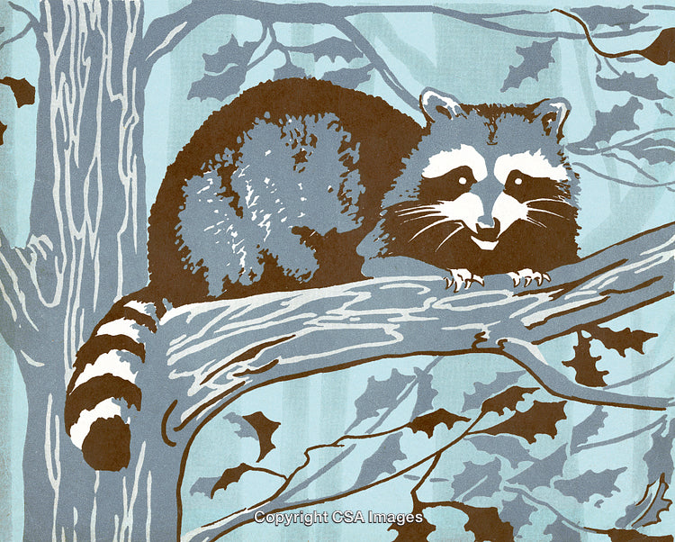 Illustrated Raccoon Resting on a Tree Branch in a Winter Forest Scene