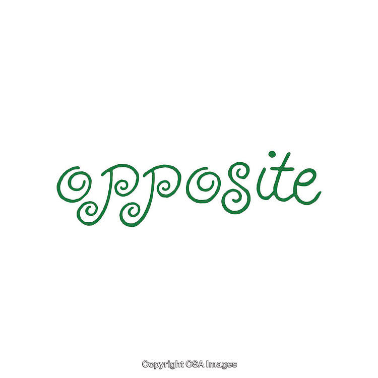 Green Opposite Text With Swirly and Stylized Typography on White Background