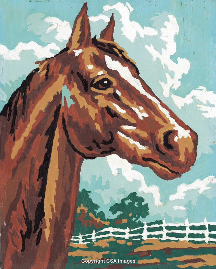 Colorful Paint By Number Horse Portrait in Country Setting