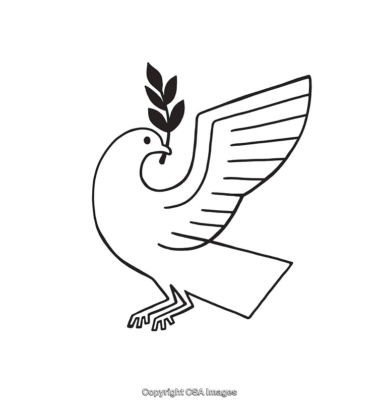 Minimalistic Line Art Illustration of Dove Carrying an Olive Branch