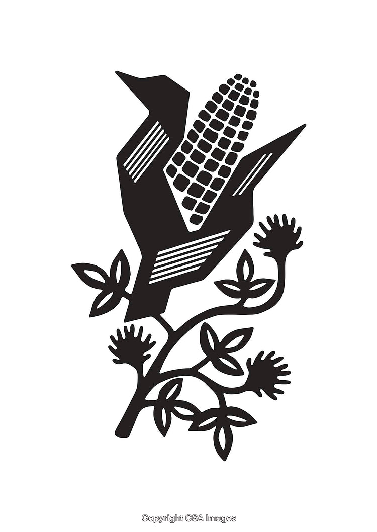 Black And White Stylized Corn and Leaves Line Art Illustration