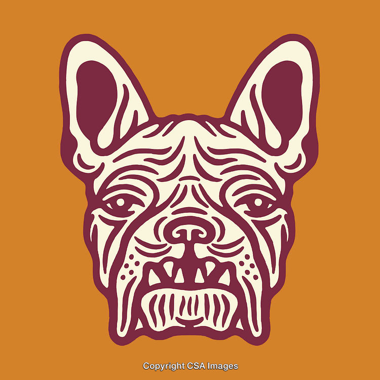 Artistic Line Art Illustration of Bulldog Face in Vibrant Colors