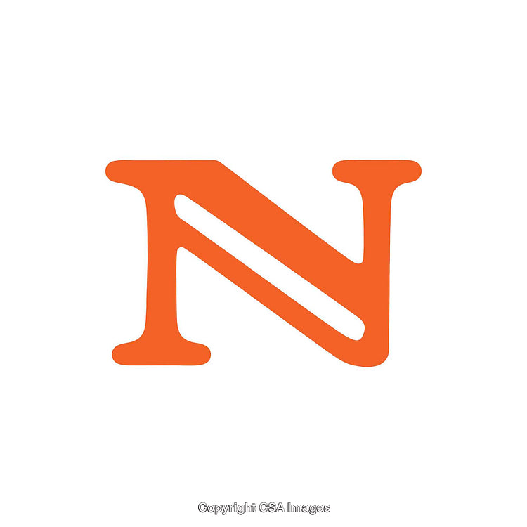 Orange Letter N in a Bold Font on a White Background
