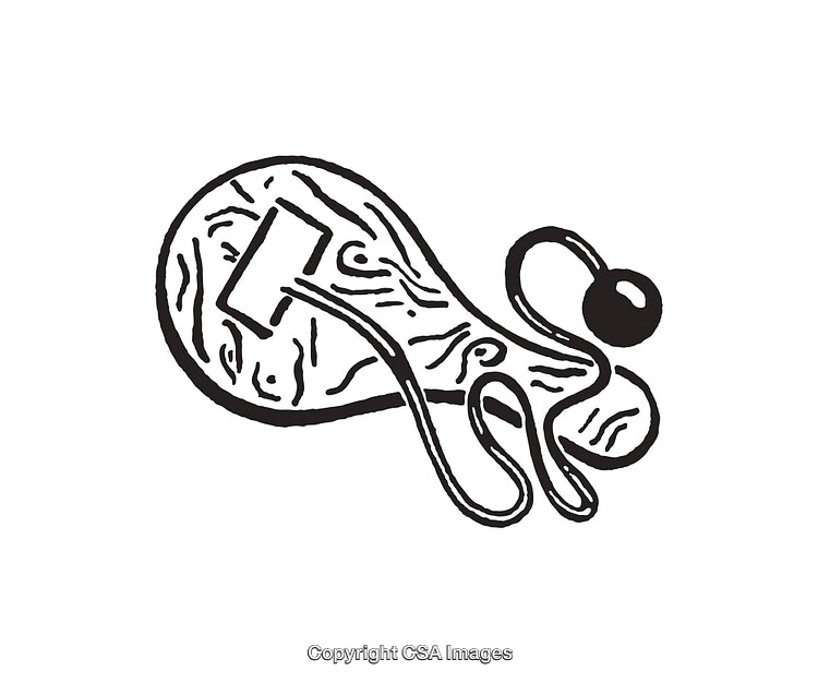 Black and White Abstract Line Art Illustration with Organic Design Elements